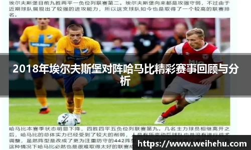 2018年埃尔夫斯堡对阵哈马比精彩赛事回顾与分析